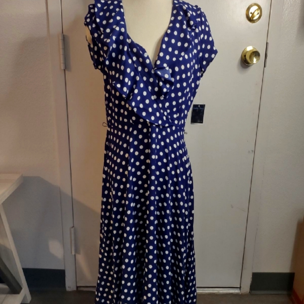 Brandnew with tags beautiful blue polka dot dress